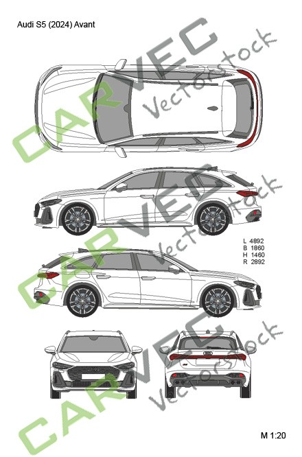 Audi S5 (2024) Avant